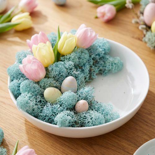 Decorazione muschio azzurro acquamarina renna muschio muschio artigianale 400g | Floristik24.it