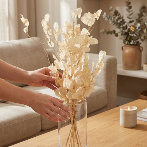 Prodotto Lunaria annua secca Occhiali del Papa Champagne 65cm 20g
