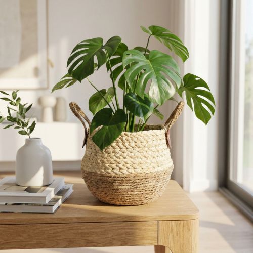 Cestino in alghe bicolore con manici - Cestino per riporre e piantare - Naturale e marrone Ø25cm H24cm | Floristik24.it
