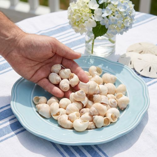 Umachi di Cozze 500g | Floristik24.it