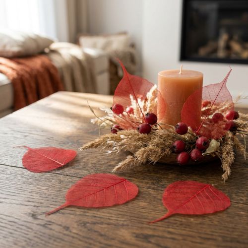 Foglie decorative di Bodhi scheletrizzate per fiori e artigianato | Floristik24.it