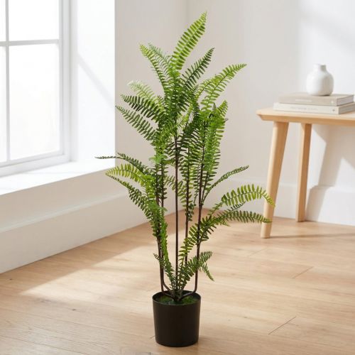 Felce in vaso verde 80 cm | Floristik24.it