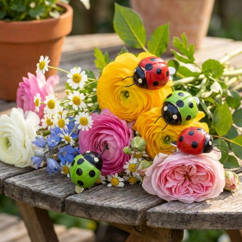 Coccinella con clip 4,5 cm rosso, verde 6 pezzi | Floristik24.it