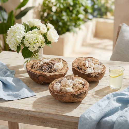 Conchiglie decorative a mezzo guscio di cocco Decorazione conchiglie di lumaca 18–19 cm 3 pz | Floristik24.it