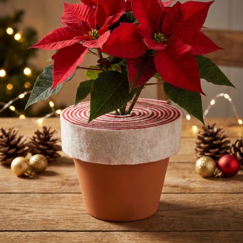 Prodotto Cerniera per vaso bicolore realizzata in 100% lana con un nastro decorativo in feltro, bianco/rosso, larga 7,5 cm e lunga 5 m.