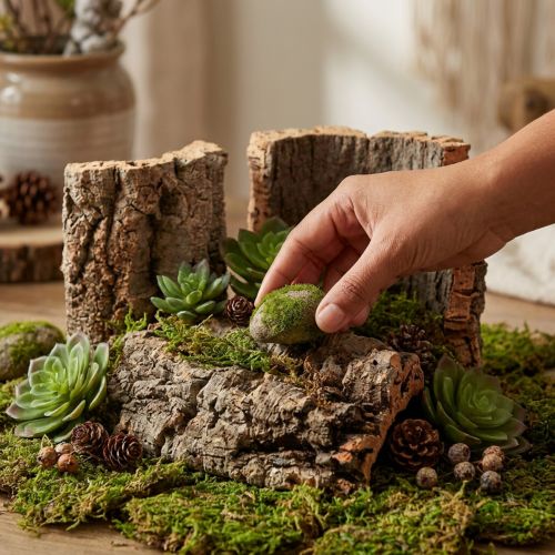 Set di 5 pezzi di corteccia di sughero naturale per artigianato e decorazioni, 30x20 cm | Floristik24.it