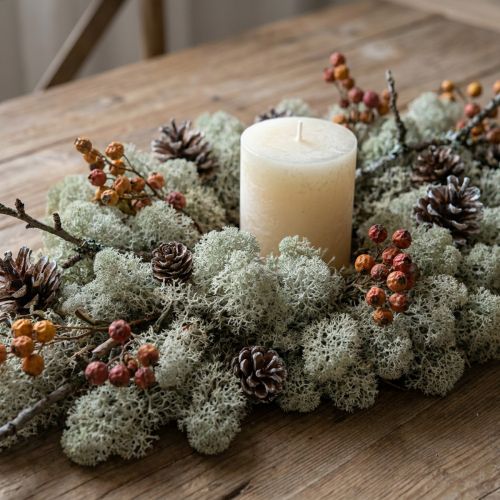 Muschio decorativo, muschio naturale grigio per lavori artigianali, essiccato e tinto, 500 g | Floristik24.it
