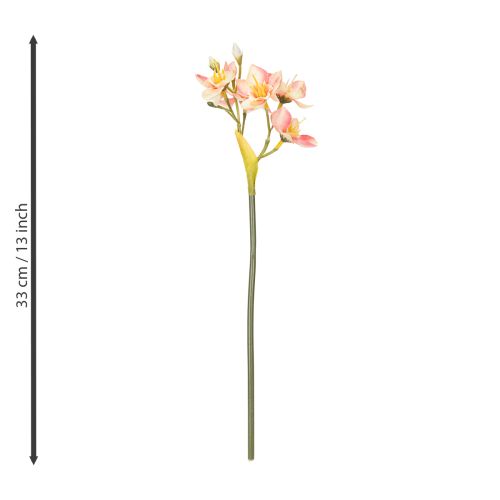 Prodotto Ramo decorativo fiorito di giglio peruviano per composizioni senza tempo, 33 cm, 6 pezzi