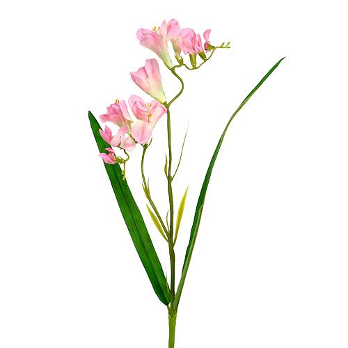 Floristik24 Fresia 56 cm Rosa 4 pezzi