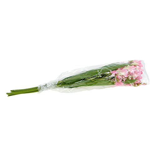 Floristik24 Fresia 56 cm Rosa 4 pezzi
