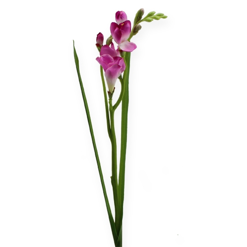 Floristik24 Art Flower Fresien 56cm 3 pezzi.