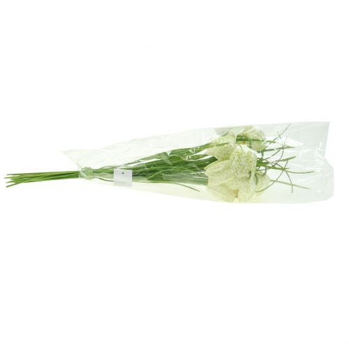 Prodotto Fiori a scacchiera Fritillaria artificiale bianco, verde 40 cm 12 pz