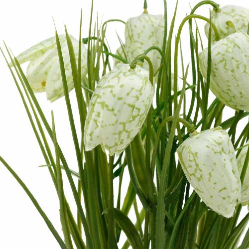 Floristik24 Fritillaria in vaso, fiore a scacchiera verde e bianco, fiore artificiale