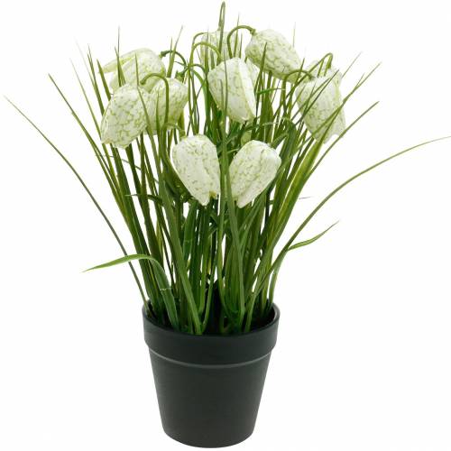 Floristik24 Fritillaria in vaso, fiore a scacchiera verde e bianco, fiore artificiale