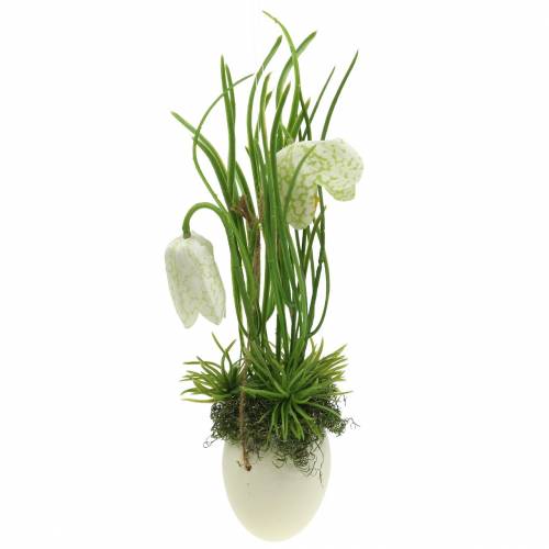 Floristik24 Fritilaria nel guscio d'uovo per appendere artificialmente verde, bianco 25 cm