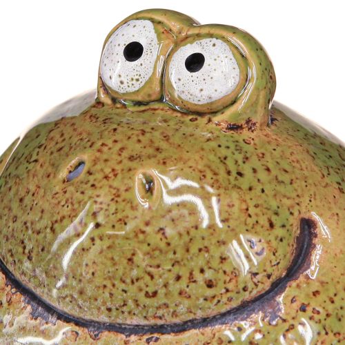 Prodotto Decorazione rana testa di rana in ceramica marrone verde H10,5 cm 2 pezzi