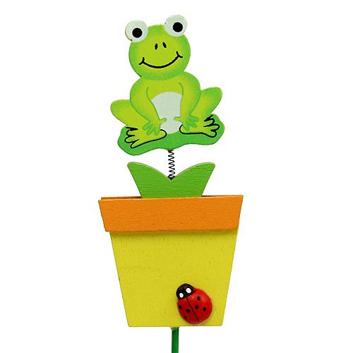 Floristik24 Rana in vaso da fiori assortita. 9 cm L28 cm 16 pz