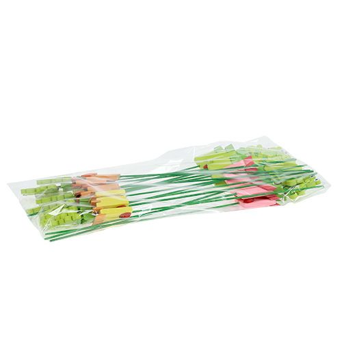 Floristik24 Rana in vaso da fiori assortita. 9 cm L28 cm 16 pz
