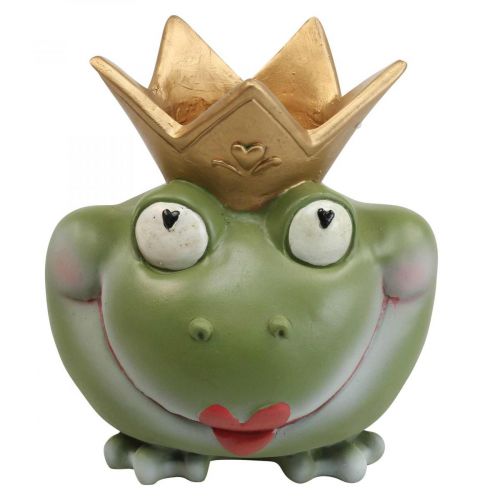 Floristik24 Frog King Deco Vaso Decorazione da giardino Vaso rana 21 × 17,5 × 23 cm