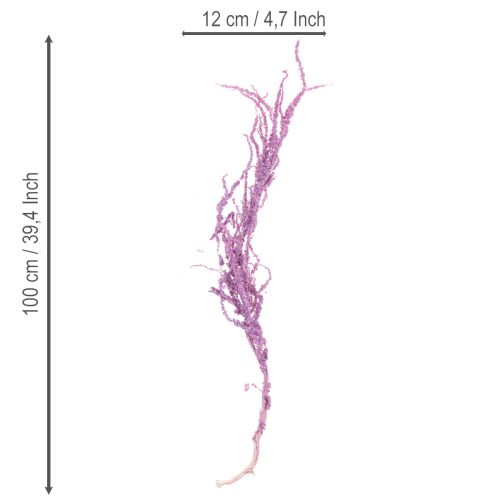 Prodotto Fiori secchi di coda di volpe, tinti, per la decorazione moderna della casa, 100 cm, 5 pezzi