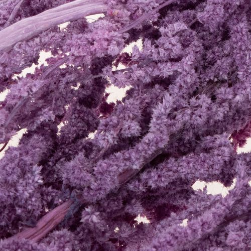 Prodotto Fiori secchi di coda di volpe, tinti, per la decorazione moderna della casa, 100 cm, 5 pezzi