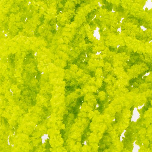 Prodotto Fiori secchi di coda di volpe, tinti, per decorazioni domestiche speciali e accenti unici, 100 cm, 5 pezzi