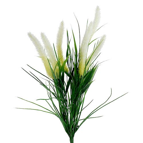 Floristik24 Coda di volpe verde erba, bianca 63 cm