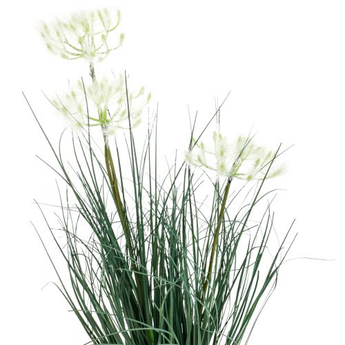Floristik24 Erba di giunco Fiore artificiale Fiori artificiali in vaso 56cm