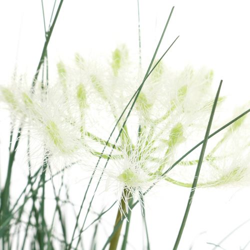 Floristik24 Erba di giunco Fiore artificiale Fiori artificiali in vaso 56cm