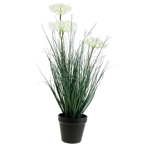 Floristik24 Erba di giunco Fiore artificiale Fiori artificiali in vaso 56cm