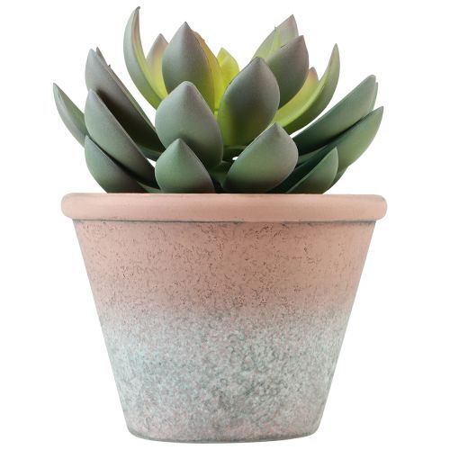 Pianta grassa in vaso Echeveria artificiale verde vintage Ø15cm H16cm