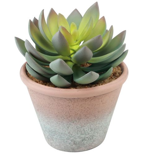 Prodotto Pianta grassa in vaso Echeveria artificiale verde vintage Ø15cm H16cm