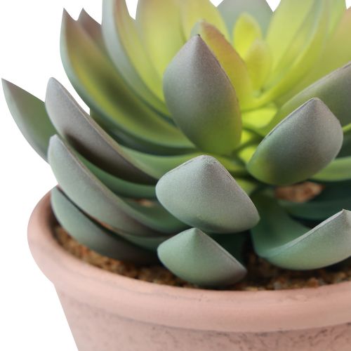 Prodotto Pianta grassa in vaso Echeveria artificiale verde vintage Ø15cm H16cm
