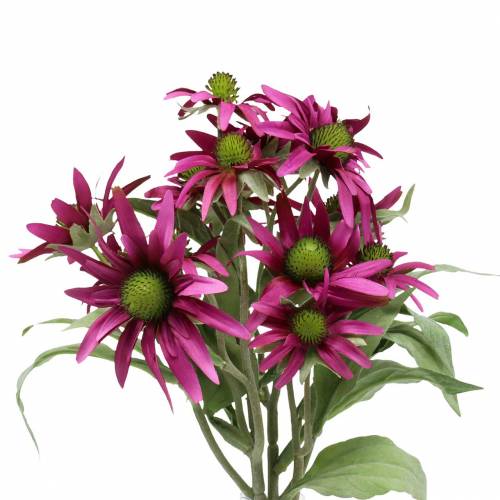 Floristik24 Echinacea fiore artificiale erica 45cm 3pz