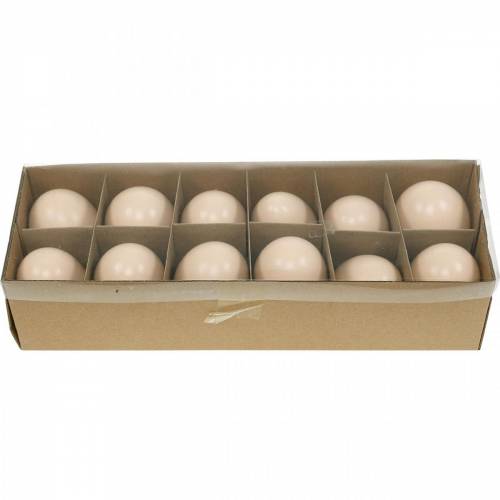 Floristik24 Uova D'Oca Crema Uova Soffiate Decorazione Pasquale 12 pz