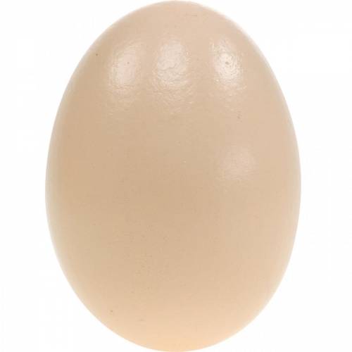Floristik24 Uova D'Oca Crema Uova Soffiate Decorazione Pasquale 12 pz