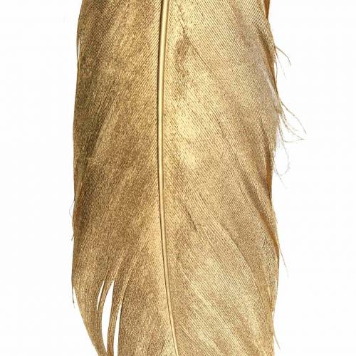 Floristik24 Piume dorate per artigianato 16-18cm 12pz