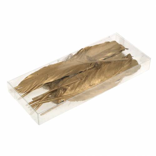 Floristik24 Piume dorate per artigianato 16-18cm 12pz