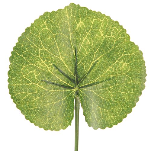 Prodotto Galax Urceolata Foglie Artificiali Verdi Ø10cm L23cm 12 pz