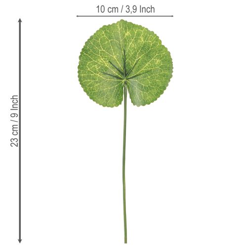 Prodotto Galax Urceolata Foglie Artificiali Verdi Ø10cm L23cm 12 pz
