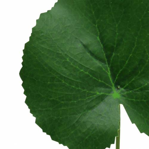 Floristik24 Lamina di bronzo Galax verde artificiale Ø9cm H30cm 12 pezzi