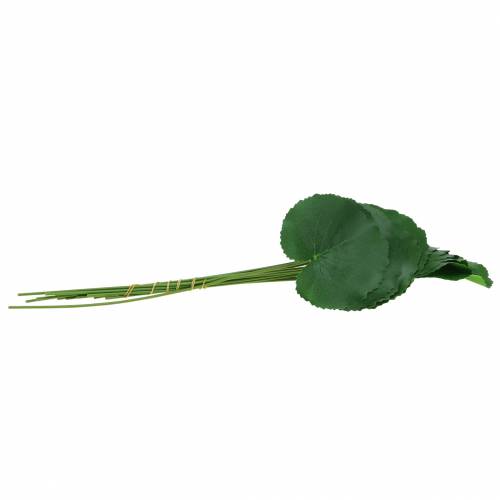 Floristik24 Lamina di bronzo Galax verde artificiale Ø9cm H30cm 12 pezzi