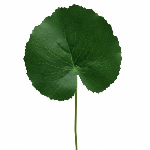 Floristik24 Lamina di bronzo Galax verde artificiale Ø9cm H30cm 12 pezzi