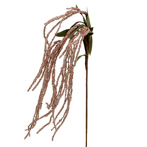 Floristik24 Coda di volpe da giardino 95 cm