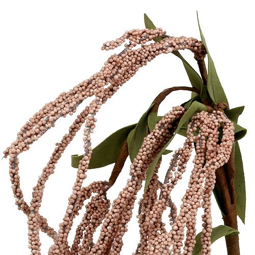 Floristik24 Coda di volpe da giardino 95 cm