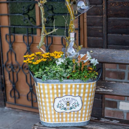 Floristik24 Lampadina solare a LED per decorazione del giardino bianco caldo H15cm 5 pezzi