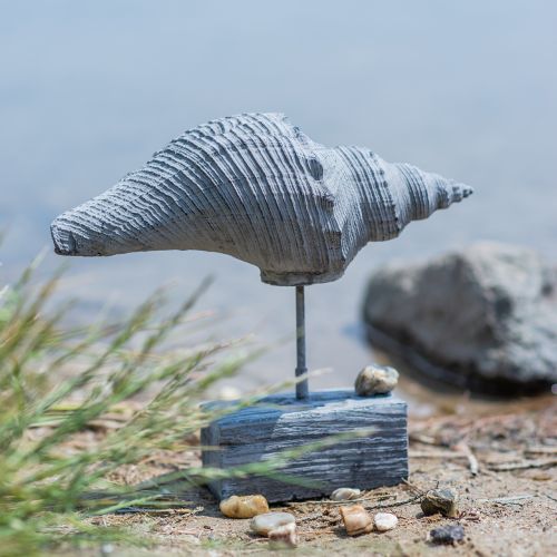 Floristik24 Statuina da giardino conchiglia su supporto H30cm