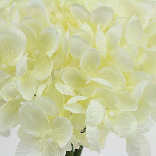 Floristik24 Mazzo di ortensie fiori artificiali bianchi L27cm