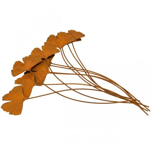Floristik24 Paletto da giardino ruggine gingko paletto per aiuola 7x5cm 6pz