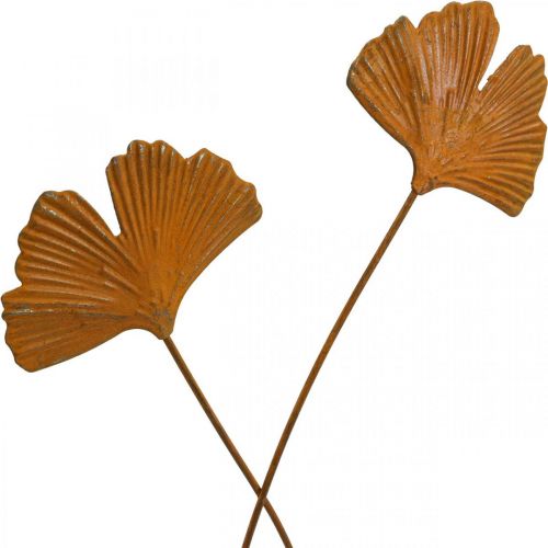 Paletto da giardino ruggine gingko paletto per aiuola 7x5cm 6pz